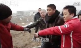 暴风刑警国语在线观看,在线观看，揭秘风暴中的正义之战